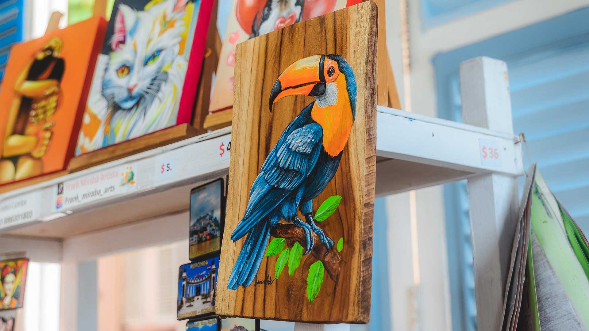 casa-del-artista-plastico-1